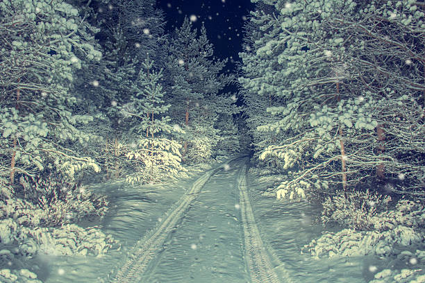 istock The road in night snowy forest. 514854212