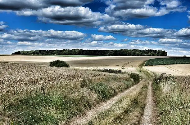 General view of the main Somme battlefields at High Wood scene of two months fighting and the loss of more than 8,000 British soldiers killed in 1916.