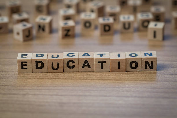 istock Education written in wooden cubes 514854902