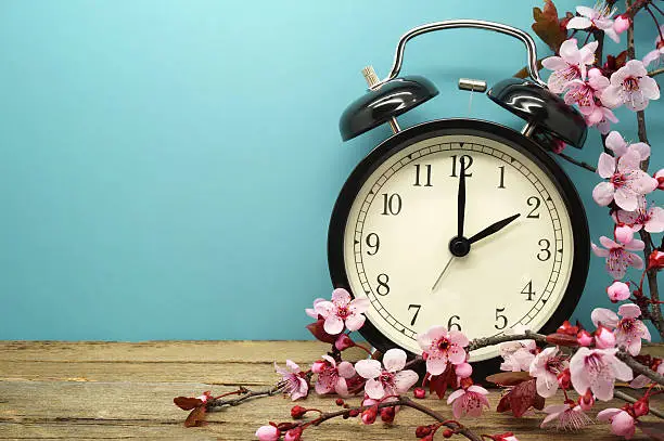 Pink Blossoms and an Alarm Clock on an Old Wooden Table