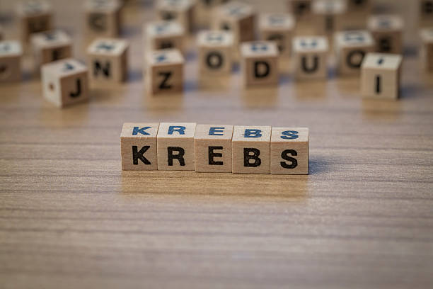 istock Krebs written in wooden cubes 514855208