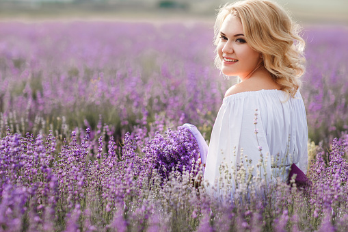 Young beautiful blonde woman with curly hair in a white wedding dress, with little wicker basket in hand, collecting lavender flowers on a large lavender field in the summer on a sunny day
