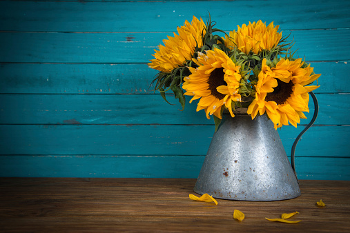 Fresh sunflower flowers in rustic antique vase on wooden table and rustic background