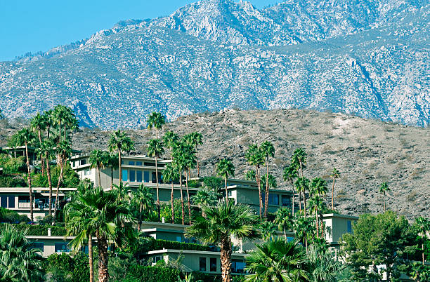 A street scene in Palm Springs, Southern California, USA which is famous for its many Mid-Century Modern architectural style homes. A row of  California fan palm trees and a view of the San Jacinto Mountains is seen from street level.