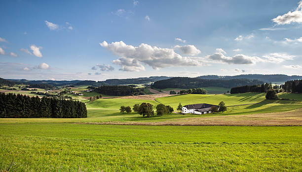 istock Rural Landscape with Green Fields and Farm 514858637