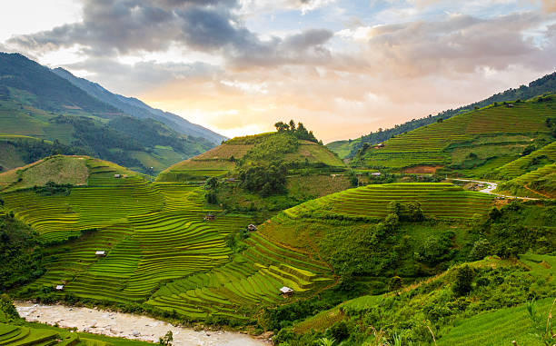 Terraced field in Mu Cang Chai province - Vietnam Mu Cang Chai is a district of Yen Bai province, about some 300 km north of Ha Noi, in the northeastern region of Vietnam. The place is home to the H'Mong and Thai community. yên bái stock pictures, royalty-free photos & images