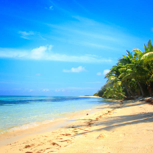 istock beach and tropical sea 514875369