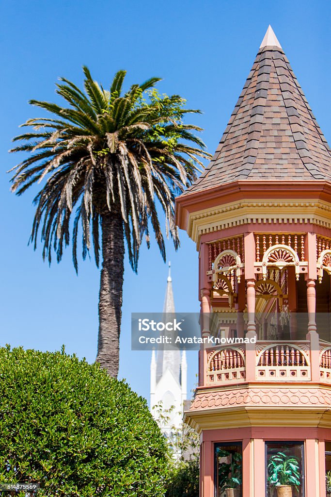 Victorian Roof Top Ferndale - California California Stock Photo