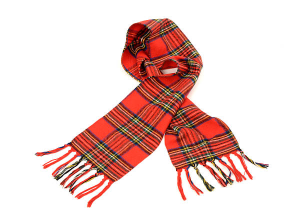istock Tartan winter scarf with fringe. 514878497