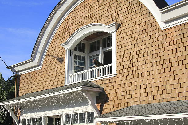 istock Dog on the Balcony 514879617