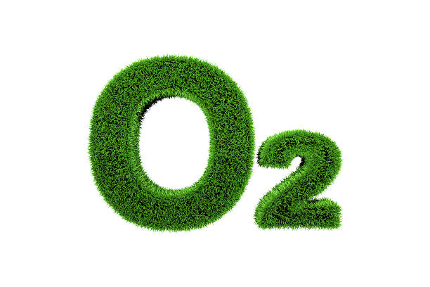 istock grass made 3D symbol of Oxygen 514879655