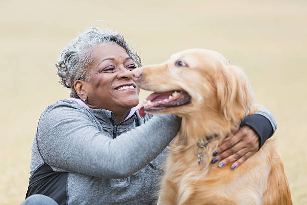 afroamericana mujer con perro mascota - black labrador black dog retriever fotografías e imágenes de stock