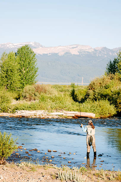 istock Yellowstone fly fishing 514881679