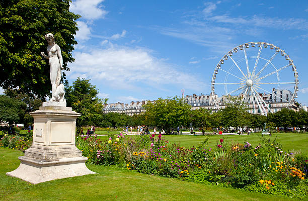 jardin des tuileries в париже - statue architecture sculpture formal garden стоковые фото и изображения