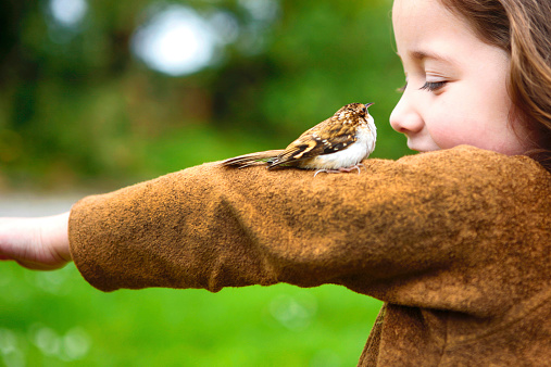 Bird making friend with a little girl