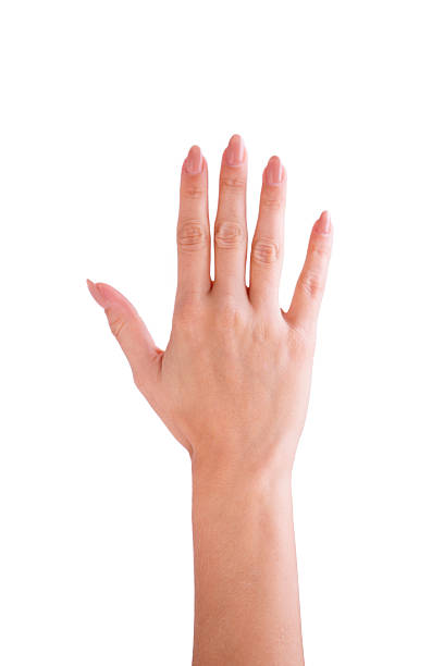 Young woman hand with fresh painted nails isolated on white background. 