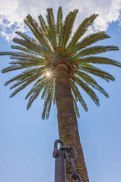 Herceg Novi  is a coastal town in Montenegro located at the entrance to the Bay of Kotor and at the foot of Mount Orjen. This place is called the botanical garden of Montenegro.