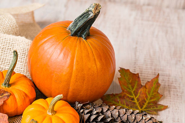 istock Colorful Fall Leaves With Pumpkins and Pine Cones 514912641