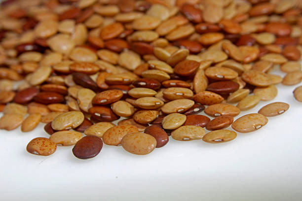 Horse gram, Kulthi dry