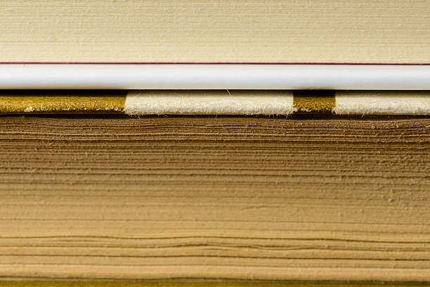 istock Pile of Books 514915879