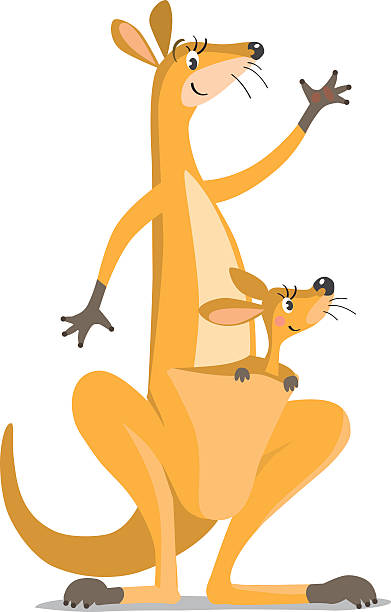 ilustraciones, imágenes clip art, dibujos animados e iconos de stock de dos divertidos canguros - young animal mother kangaroo family