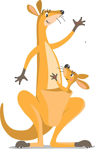 ilustraciones, imágenes clip art, dibujos animados e iconos de stock de dos divertidos canguros - young animal mother kangaroo family