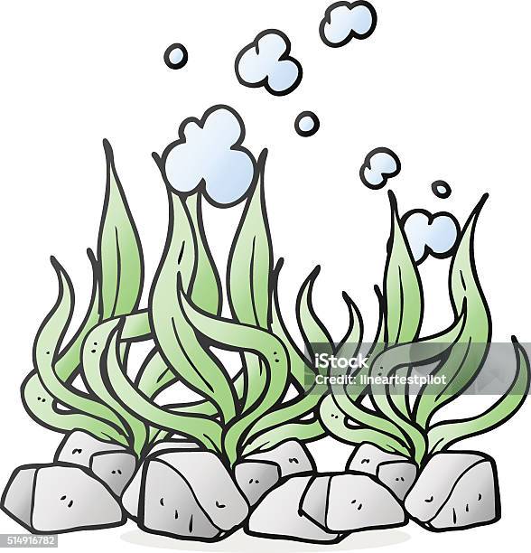 Cartoon Seaweed Stock Illustration - Download Image Now - Bizarre, Clip Art, Cultures
