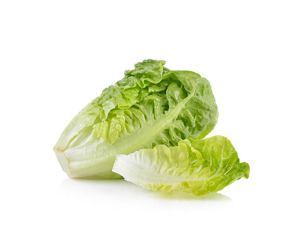 istock fresh baby cos (lettuce) on white background 514917770