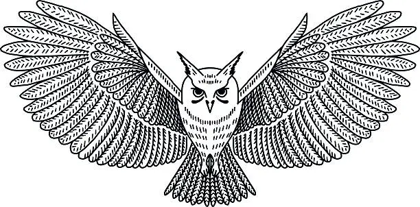 Vector illustration of Vector Flying Owl