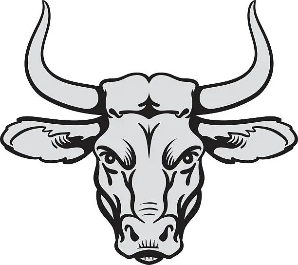 Vector illustration of angry bull head