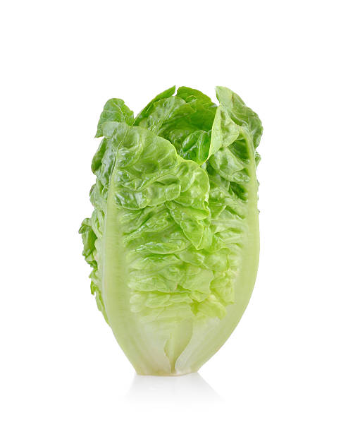 istock fresh baby cos (lettuce) on white background 514920668