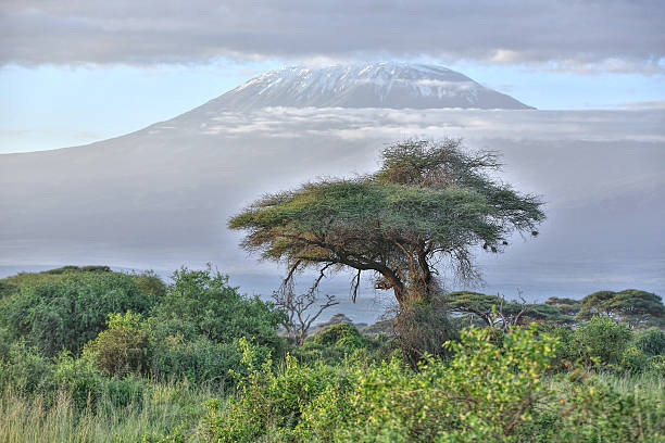 istock Peak of the Mt Kilimanjaro 514922974