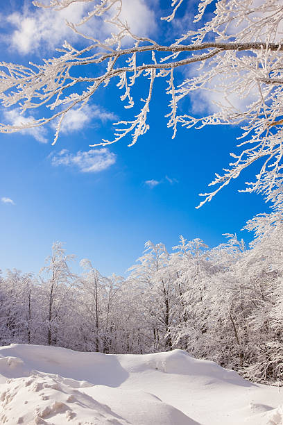 istock snowy winter landscape in the mountains (Italy) 514923908