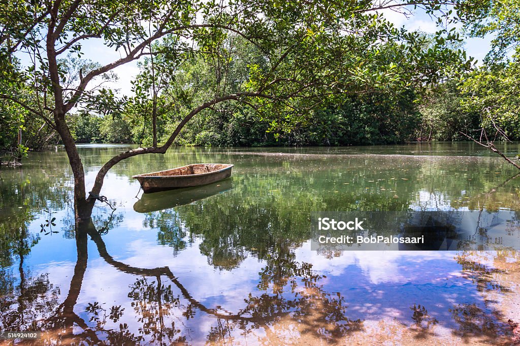 Water Reflections on a Peaceful Pond in Paradise Water Reflections on Peaceful Tranquil Pond in Paradise. Rowboat Resting in Serene Reflecting Pool. Colorful Natural Beauty Landscape Background with Copy Space. Singapore Stock Photo