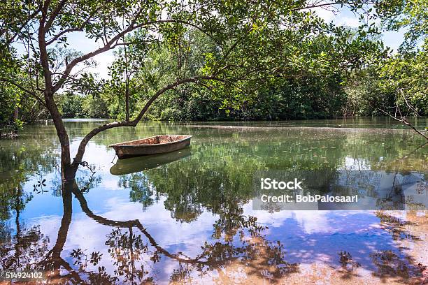 Water Reflections On A Peaceful Pond In Paradise Stock Photo - Download Image Now - Singapore, Backgrounds, Blue