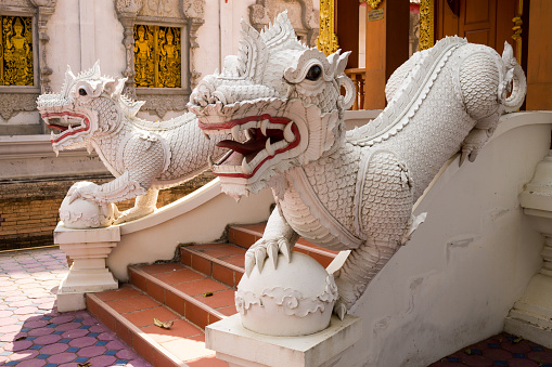 A lion statue symbolizes to the protector in front of the entry way.