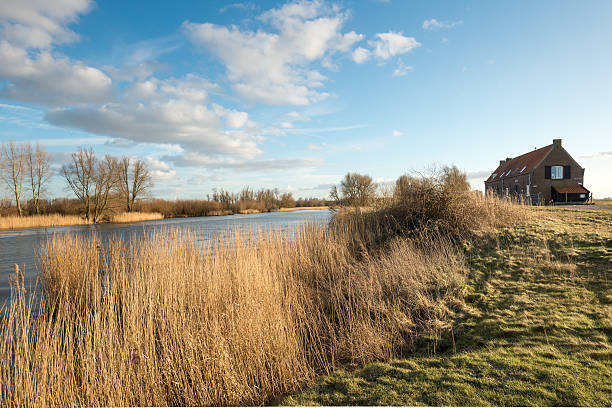 istock Creek in a Dutch nature reserve 514927594