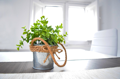 Green plant in a tin pot knotted rope on the wooden table in the sunlight