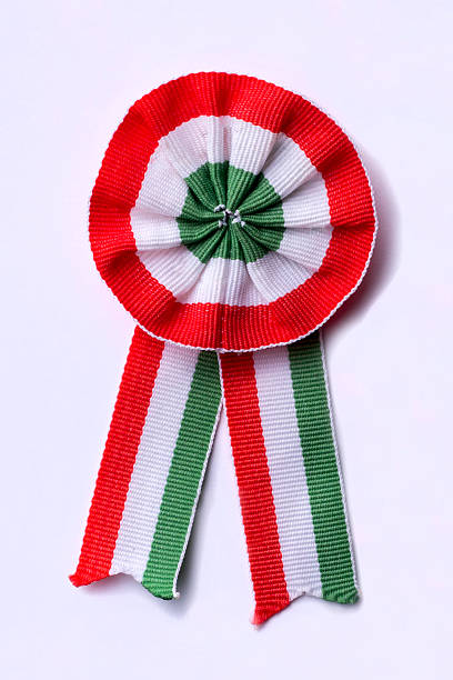istock Hungarian cockade on white background 514930944