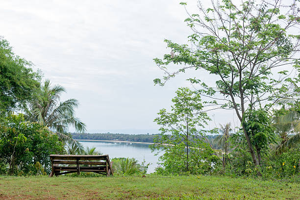 istock wooden chair 514931209