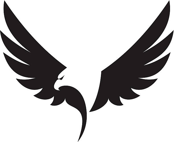 ilustraciones, imágenes clip art, dibujos animados e iconos de stock de icono de eagle - aguila real