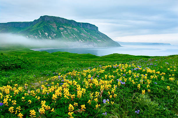 landscape at Paramushir Island, Kuril Islands, Russia stock photo