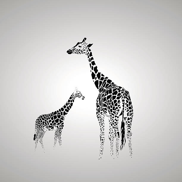 giraffe mit ihrem baby - giraffe stock-grafiken, -clipart, -cartoons und -symbole