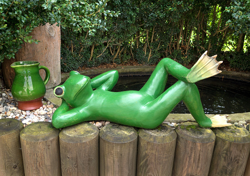 A relaxed green frog lies on a palisade on a water basin.
