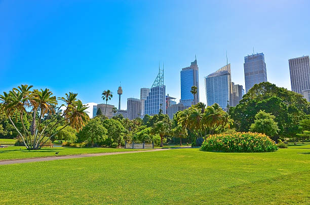 istock View of Sydney skyline from Royal Botanic Gardens 514935218
