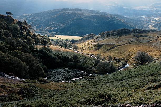 vista para nant gwynant, snowdonia - nant gwynant imagens e fotografias de stock