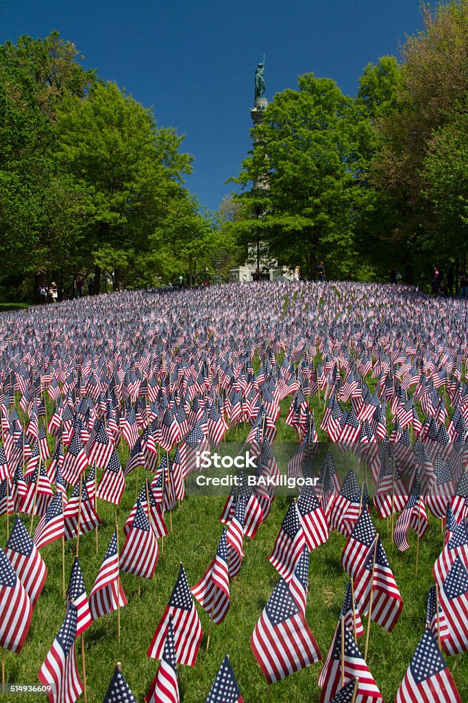 In Memoriam flags on boston Common Boston Common Stock Photo