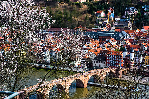 istock Spring in the old town of Heidelberg 514937024