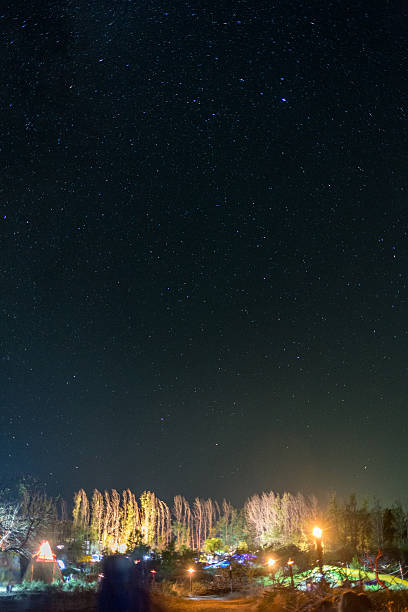 istock Night party on the nature 514937689