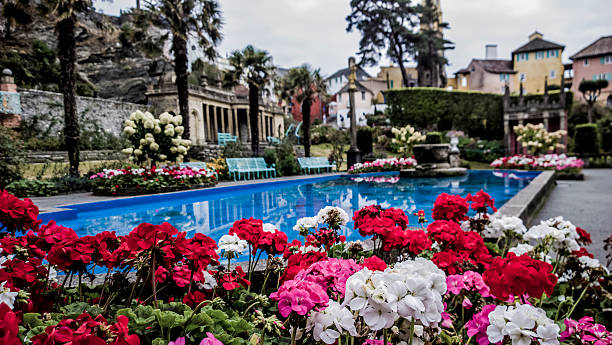 istock Flowers and water portmerion 514937891